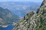 IMG_5911.JPG