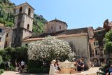 Kotor