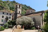 Kotor