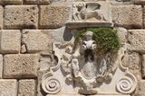 Kotor