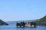 IMG_6050.JPG