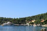 IMG_6288.JPG
