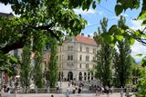 IMG_6585.JPG