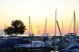 IMG_7096.JPG
