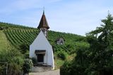 IMG_7230.JPG