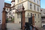 IMG_7331.JPG