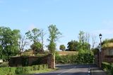 IMG_7461.JPG
