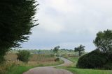 IMG_7735.JPG