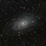 M33