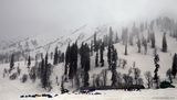 Kashmir Show - Gulmarg