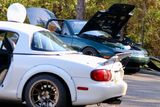 IMG_3537.jpg