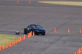 IMG_3555.JPG