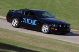 IMG_3558.JPG