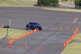 IMG_3578.JPG