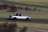 IMG_3591.JPG