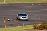 IMG_3678.jpg