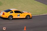 IMG_3873.JPG