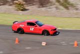 IMG_4074.jpg