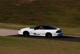 IMG_4076.jpg