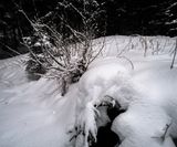 Gran nevada