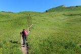 IMG_2169.jpg