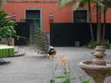 DSC03684.JPG