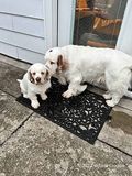 Bruno and Victor  221113 013.jpg