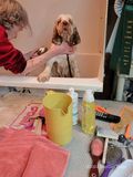 Harvey  221116 006.jpg