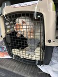 Harvey  221117 002.jpg