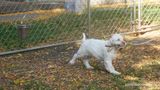 Pollys Litter  231003 014.jpg
