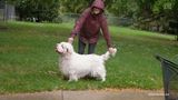 Fun-Day--231013-022.jpg
