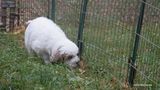 Fun-Day--231013-038.jpg