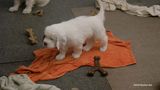 Fun-Day--231013-053.jpg