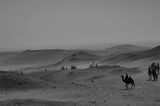 Pyramids & Sphinx 10.JPG