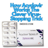 How Acyclovir Works The Clever Virus-Stopping Trick - 1