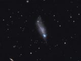 NGC 4861<br>(Arp 266)
