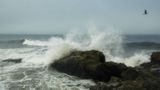 DSC_5501.jpg
