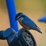 GM7_3471.jpg