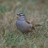 GM7_3530.jpg