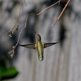 GZ8_1590_DxO.jpg