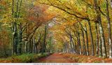 Autumn colours / Herfstkleuren