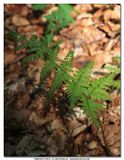 MULLERTHAL_2016-05-03_014.jpg