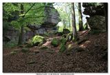 MULLERTHAL_2016-05-03_016.jpg