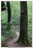 MULLERTHAL_2016-05-03_025.jpg
