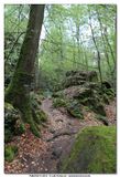 MULLERTHAL_2016-05-03_026.jpg