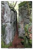 MULLERTHAL_2016-05-03_047.jpg