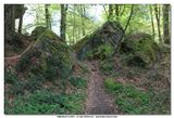 MULLERTHAL_2016-05-03_057.jpg