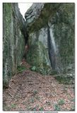 MULLERTHAL_2016-05-03_058.jpg