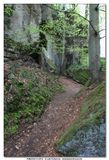 MULLERTHAL_2016-05-03_059.jpg