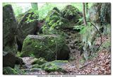 MULLERTHAL_2016-05-03_079.jpg